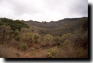 Hill behind Kijire
