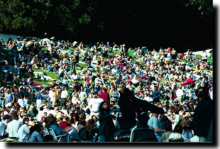 Golden Gate Park on Labor Day.