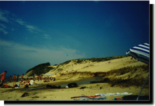 West side of the dune, at the beach.