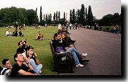 Eclipse-watchers in the park