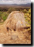 Grass hut at base of Kijire hill