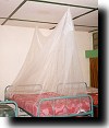 Moquito net-covered bed in Kigali