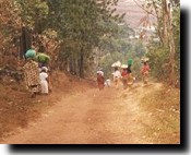 Dirt road viewed from a motorbike