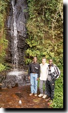 Roadside waterfall in rain forest