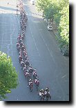 Bastille Day horses.