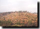 House-covered hill in Cyangugu