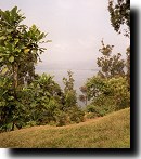 Lake Kivu from the hill