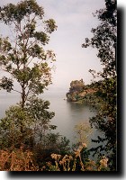 Lake Kivu through the trees